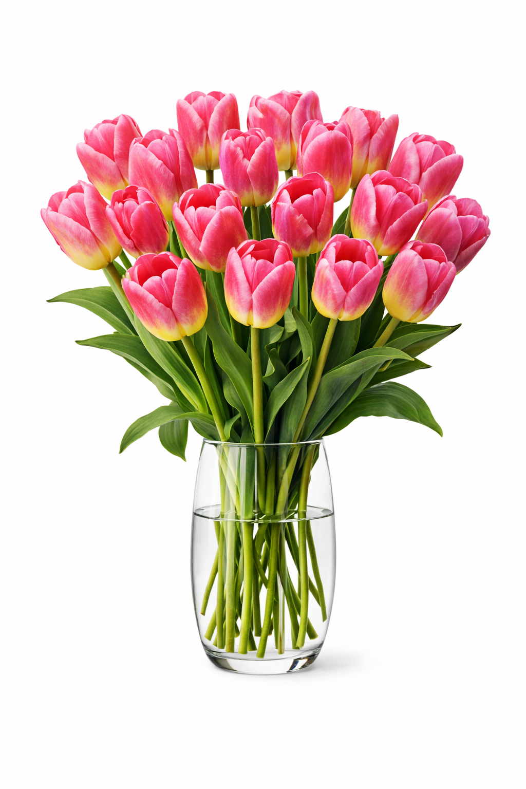 De korte bloemen vaas